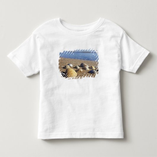VS, Florida, Kustzee Schelpen Kinder Shirts (Voorkant)