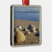 VS, Florida, Kustzee Schelpen Metalen Ornament (Rechts)