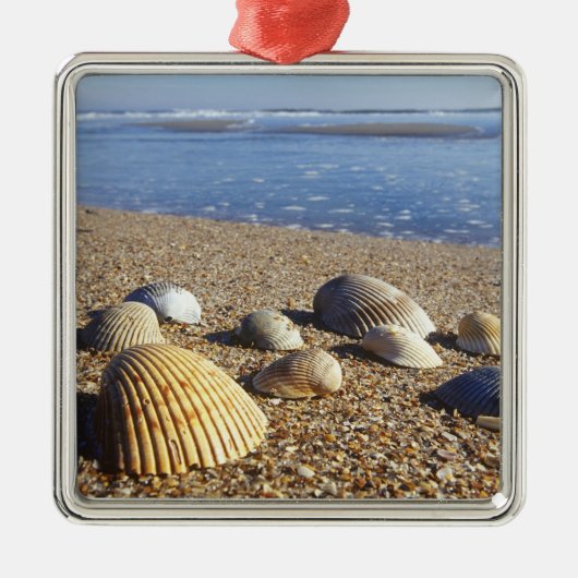 VS, Florida, Kustzee Schelpen Metalen Ornament (Voorkant)