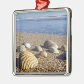 VS, Florida, Kustzee Schelpen Metalen Ornament (Links)