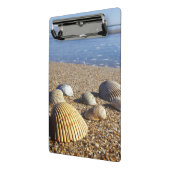 VS, Florida, Kustzee Schelpen Mini Klembord (Angled2)