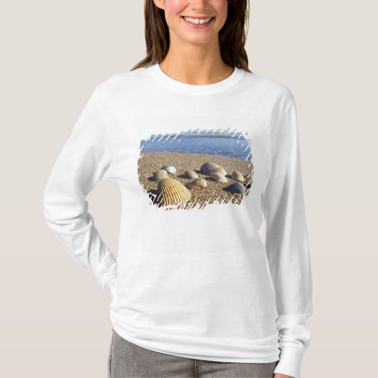 VS, Florida, Kustzee Schelpen T-shirt (Voorkant)