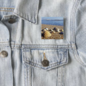VS, Florida, Kustzee Schelpen Vierkante Button 5,1 Cm (In situ)