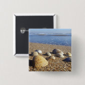 VS, Florida, Kustzee Schelpen Vierkante Button 5,1 Cm (Voorkant /achterkant)