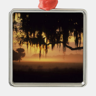 VS, Florida, Lake Kissimmee. Silhouet bij zonsopga Metalen Ornament