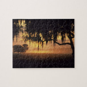 VS, Florida, Lake Kissimmee. Zonsopgang silhouet Legpuzzel