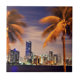 VS, Florida, Miami skyline bij schemering Tegeltje