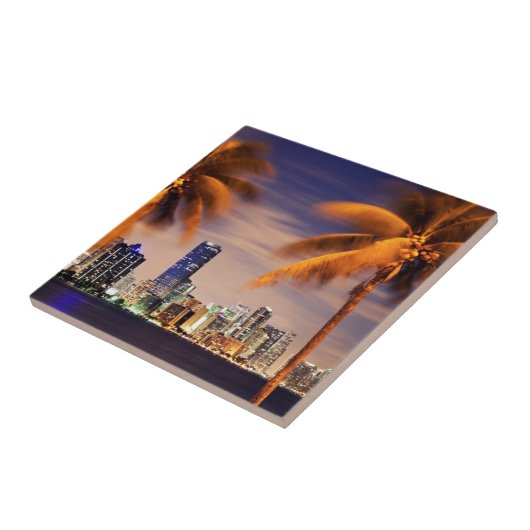 VS, Florida, Miami skyline bij schemering Tegeltje (Zijkant)