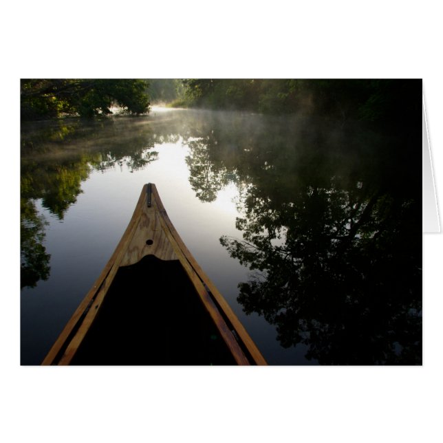 VS, Florida, Ocala National Forest, Alexander (Voorkant Horizontaal)