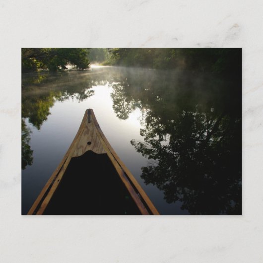 VS, Florida, Ocala National Forest, Alexander Briefkaart (Voorkant)