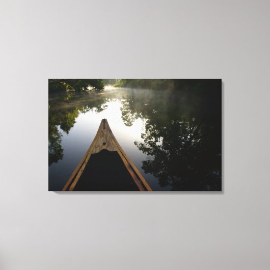 VS, Florida, Ocala National Forest, Alexander Canvas Afdruk (Voorkant)
