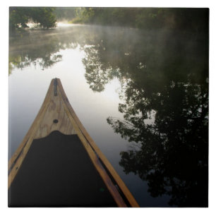 VS, Florida, Ocala National Forest, Alexander Tegeltje