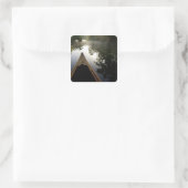 VS, Florida, Ocala National Forest, Alexander Vierkante Sticker (Tas)