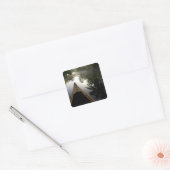 VS, Florida, Ocala National Forest, Alexander Vierkante Sticker (Envelop)