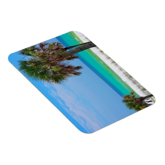 VS, Florida. palmbomen op de maragingkust Magneet (Rechterzijde)