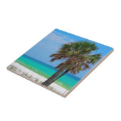 VS, Florida. palmbomen op de maragingkust Tegeltje (Zijkant)