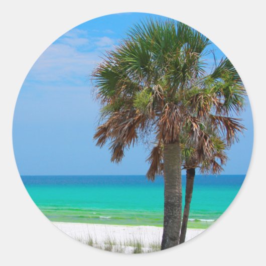 VS, Florida. Palmbomen op de Smaragdkust Ronde Sticker (Voorkant)