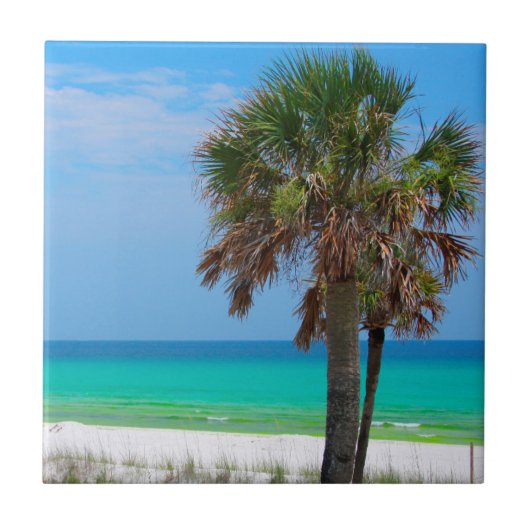 VS, Florida. Palmbomen op de Smaragdkust Tegeltje (Voorkant)