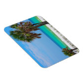 VS, Florida. Palmbomen op Emerald Coast Magneet (Rechterzijde)