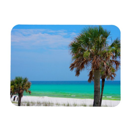 VS, Florida. Palmbomen op Emerald Coast Magneet (Horizontaal)