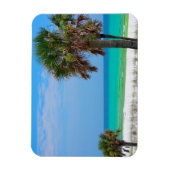 VS, Florida. Palmbomen op Emerald Coast Magneet (Verticaal)