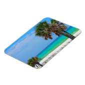 VS, Florida. Palmbomen op Emerald Coast Magneet (Linkerzijde)