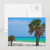 VS, Florida. Palmbomen op Smaragdkust Briefkaart (Voorkant / Achterkant)