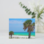 VS, Florida. Palmbomen op Smaragdkust Briefkaart (Staand voorkant)