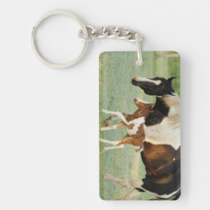 VS, Florida, Pasgeboren Paint veulen Sleutelhanger