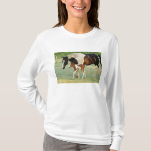 VS, Florida, Pasgeboren Paint veulen T-shirt