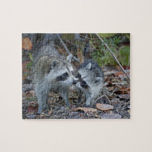 VS, Florida, Sanibel, Ding Darling Nationaal Legpuzzel (Horizontaal)