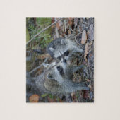VS, Florida, Sanibel, Ding Darling Nationaal Legpuzzel (Verticaal)