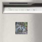 VS, Florida, Sanibel, Ding Darling Nationaal Magneet (Insitu (Vaatwasser))