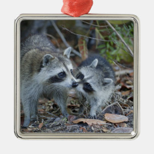 VS, Florida, Sanibel, Ding Darling Nationaal Metalen Ornament