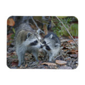 VS, Florida, Sanibel, Ding Darling National Magneet (Horizontaal)