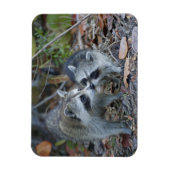 VS, Florida, Sanibel, Ding Darling National Magneet (Verticaal)