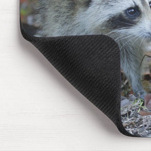 VS, Florida, Sanibel, Ding Darling National Muismat (Hoek)