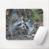 VS, Florida, Sanibel, Ding Darling National Muismat (Met muis)