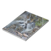 VS, Florida, Sanibel, Ding Darling National Notitieblok (Linkerzijde)