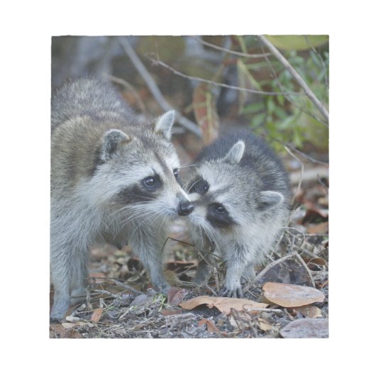 VS, Florida, Sanibel, Ding Darling National Notitieblok (Voorkant)