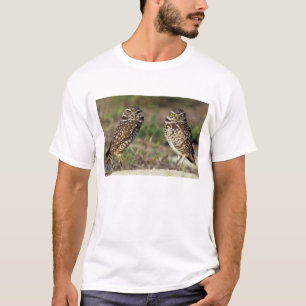 VS, Florida, Sanibel Island. Close-up van T-shirt