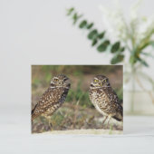 VS, Florida, Sanibel Island. Sluiting van Briefkaart (Staand voorkant)