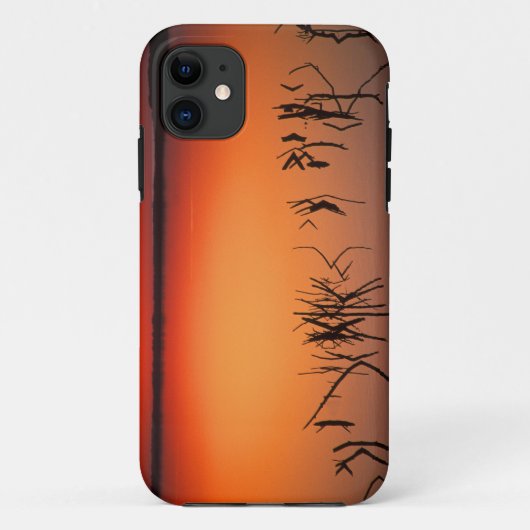 VS, Florida. Silhouetten van dode boomtakken Case-Mate iPhone Case (Achterkant)