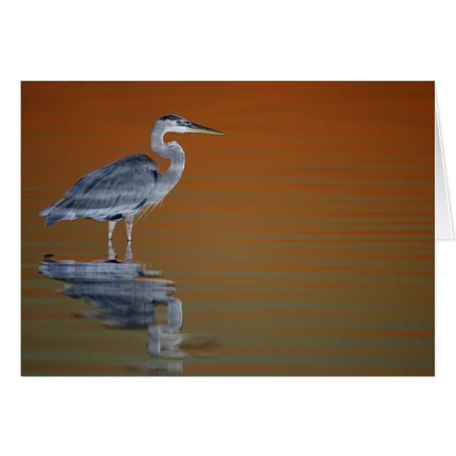 VS, Florida, Sint-Petersburg, Fort de Soto 2 (Voorkant Horizontaal)