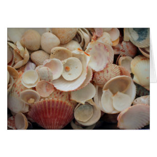 VS, Florida. Sluiting van de schelpen op Santa Ros