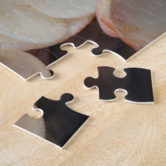 VS, Florida. Sluiting van de schelpen op Santa Ros Legpuzzel (Zijkant)