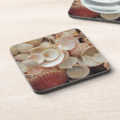 VS, Florida. Sluiting van de schelpen op Santa Ros Onderzetter (Linkerzijde)