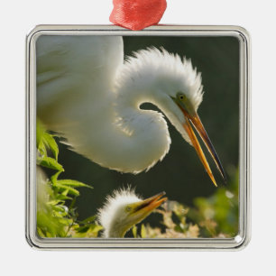 VS, Florida, St. Augustine, Alligatorboerderij Metalen Ornament