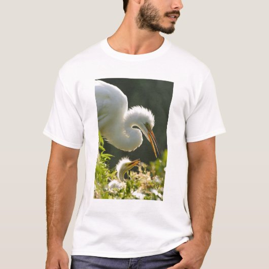 VS, Florida, St. Augustine, Alligatorboerderij T-shirt (Voorkant)