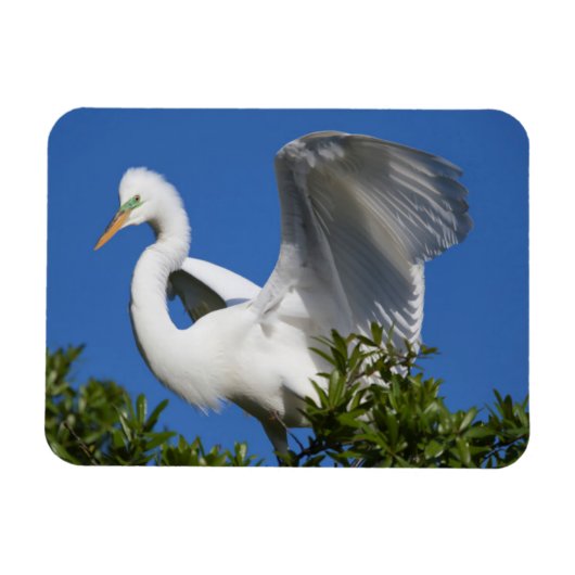 VS, Florida, St. Augustine, Egret Magneet (Horizontaal)